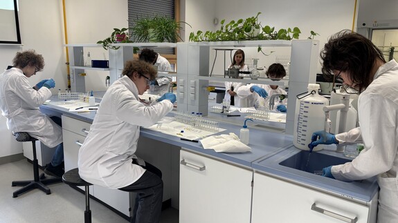 II etap 72. Olimpiady Chemicznej