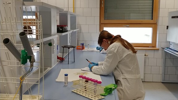 Finałowa część VI Podlaskiego Konkursu Wiedzy o Ochronie Środowiska