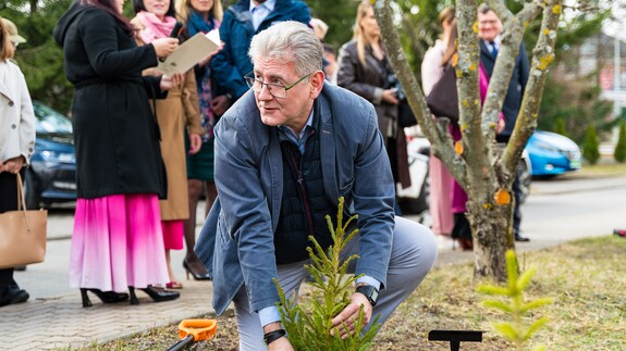 W Alei Mocy przy Domu Pomocy Społecznej przy ulicy świerkowej 9 w Białymstoku został posadzony Świerk Wydziału Chemii Uniwersytetu w Białymstoku.
