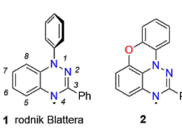 Paramagnetyczne nanografeny