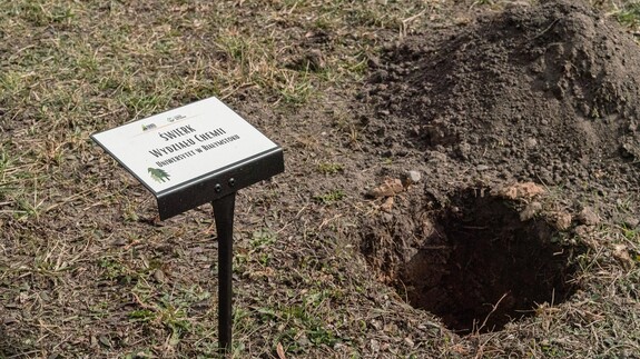 W Alei Mocy przy Domu Pomocy Społecznej przy ulicy świerkowej 9 w Białymstoku został posadzony Świerk Wydziału Chemii Uniwersytetu w Białymstoku.