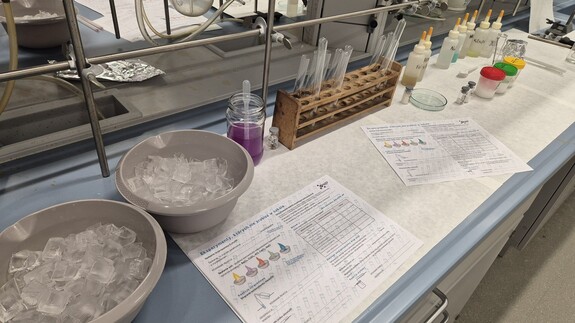 Wydział Chemii na Dniach Nauk Ścisłych w SP1 w Białymstoku