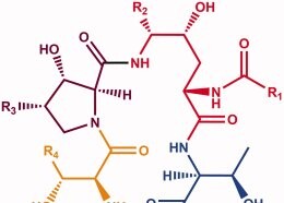 Publikacja w czasopiśmie Journal of Enzyme Inhibition and Medicinal Chemistry