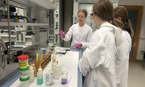 Warsztaty chemiczne dla uczniów Niepublicznej Szkoły Podstawowej w Załukach