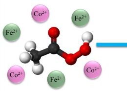 Publikacja w czasopiśmie Molecules