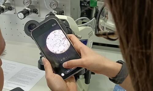 Warsztaty naukowe uczni&oacute;w X Liceum