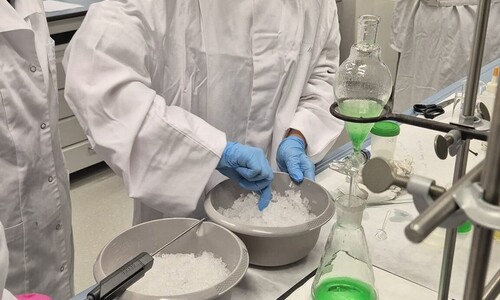 Warsztaty chemiczne dla uczniów Niepublicznej Szkoły Podstawowej w Załukach