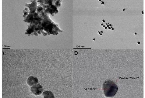 Publikacja w czasopiśmie International Journal of Molecular Science