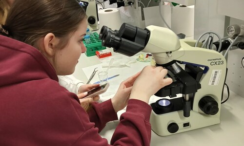 Warsztaty naukowe uczni&oacute;w X Liceum