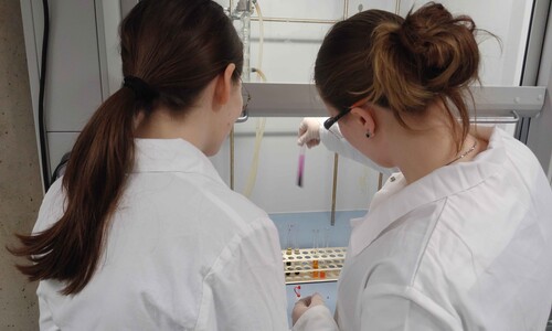 Warsztaty naukowe uczni&oacute;w X Liceum