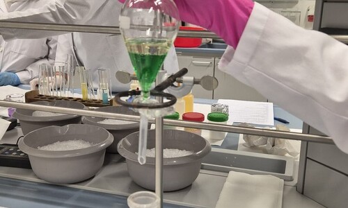 Warsztaty chemiczne dla uczniów Niepublicznej Szkoły Podstawowej w Załukach