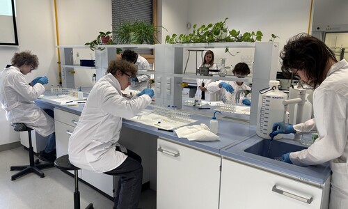 II etap 72. Olimpiady Chemicznej