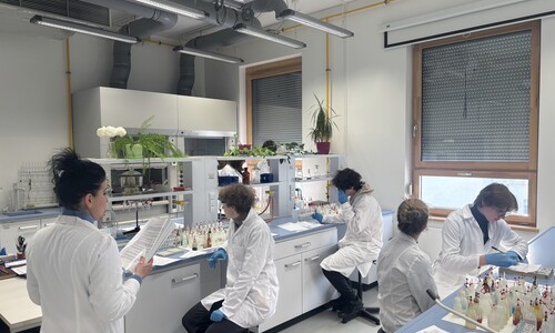 Warsztaty Chemiczne na Wydziale Chemii