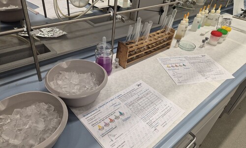 Wydział Chemii na Dniach Nauk Ścisłych w SP1 w Białymstoku