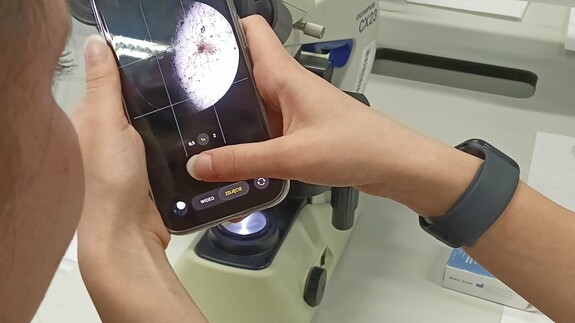 Warsztaty naukowe uczni&oacute;w X Liceum