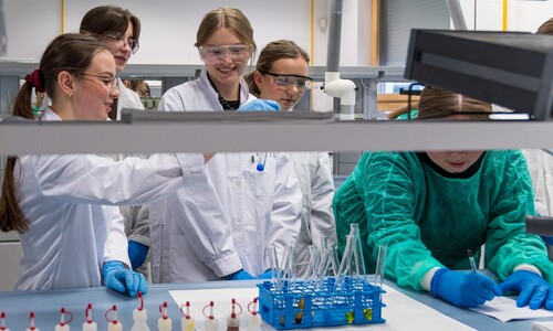 Akcja &bdquo;Studiuj z UwB&rdquo; z udziałem uczni&oacute;w I LO z Sokołowa Podlaskiego.