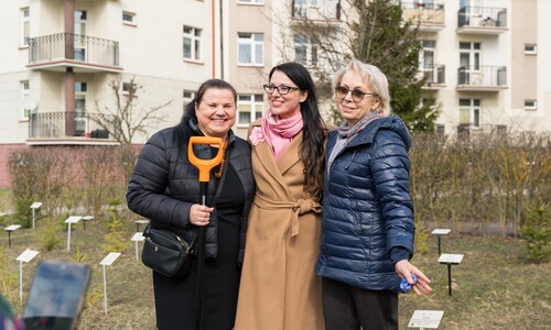 W Alei Mocy przy Domu Pomocy Społecznej przy ulicy świerkowej 9 w Białymstoku został posadzony Świerk Wydziału Chemii Uniwersytetu w Białymstoku.