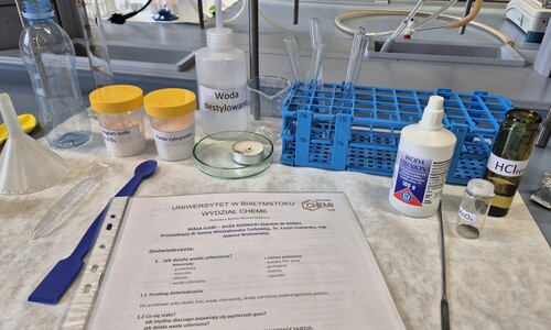 Uczniowie ze Szkoły Podstawowej nr 4 w Białymstoku z wizytą na Wydziale Chemii w ramach akcji &bdquo;Dziecięca Szkoła Bezpieczeństwa&rdquo;