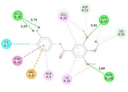 Publikacja w czasopiśmie International Journal of Molecular Sciences