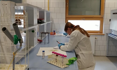 Finałowa część VI Podlaskiego Konkursu Wiedzy o Ochronie Środowiska