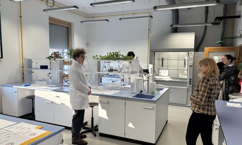 II etap 72. Olimpiady Chemicznej