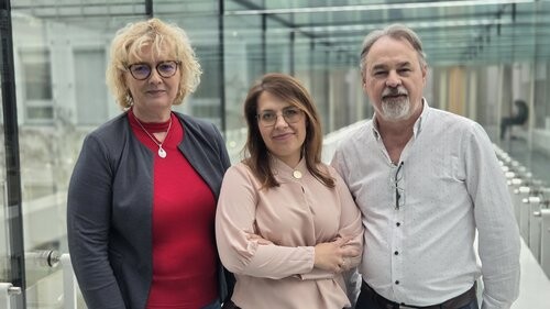 Grant OPUS - prawie 2 mln zł dla dr Urszuli Klekotki