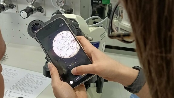 Warsztaty naukowe uczni&oacute;w X Liceum