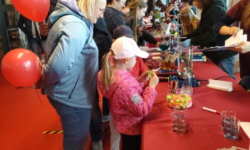 Piknik rodzinny z okazji XXI Podlaskiego Festiwalu Nauki i Sztuki