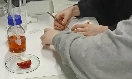 Warsztaty naukowe uczni&oacute;w X Liceum