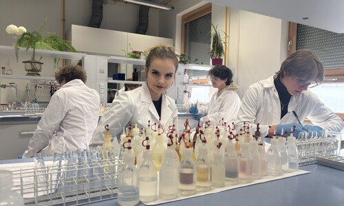 Warsztaty Chemiczne na Wydziale Chemii