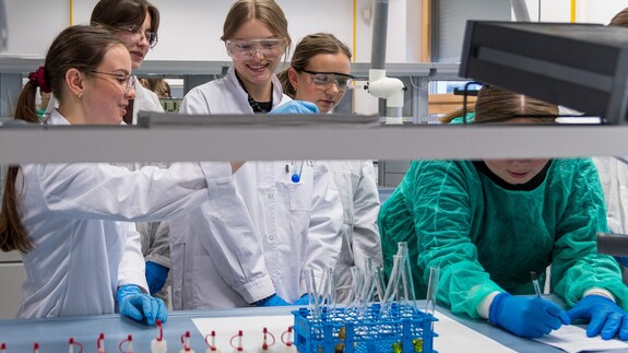 Akcja &bdquo;Studiuj z UwB&rdquo; z udziałem uczni&oacute;w I LO z Sokołowa Podlaskiego.