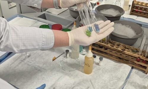 Warsztaty chemiczne dla uczniów Niepublicznej Szkoły Podstawowej w Załukach