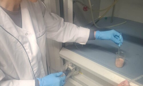 Zajęcia biochemiczne w ramach projektu „Zawód w CZMISie przyda Ci się”