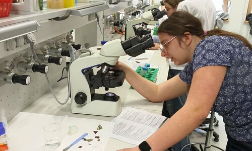 Warsztaty naukowe uczni&oacute;w X Liceum