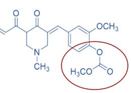 Publikacja w czasopiśmie International Journal of Molecular Sciences