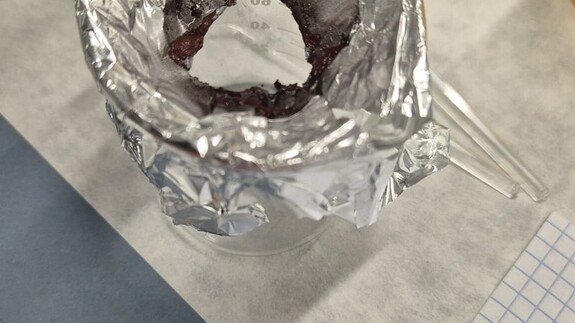 Warsztaty chemiczne dla uczniów Niepublicznej Szkoły Podstawowej w Załukach