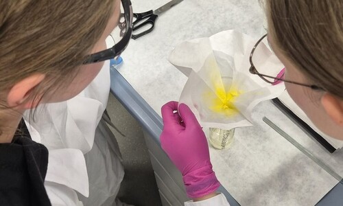 Warsztaty chemiczne dla uczniów Niepublicznej Szkoły Podstawowej w Załukach