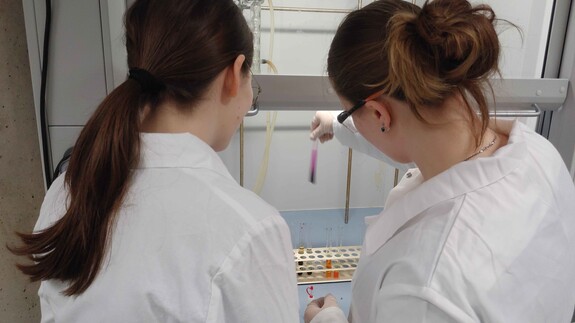 Warsztaty naukowe uczni&oacute;w X Liceum