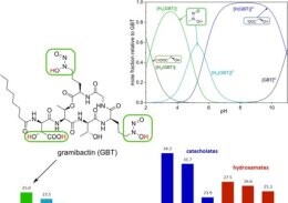 Publikacja w czasopiśmie Chemistry - A European Journal