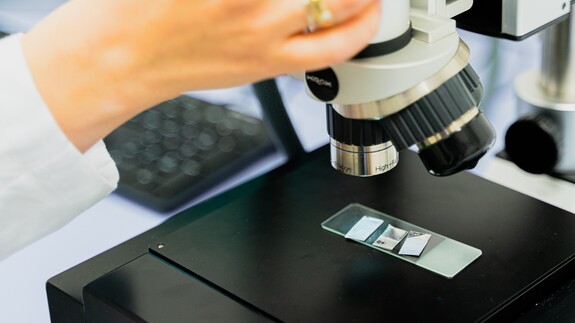 Chemia kryminalistyczna i sądowa 