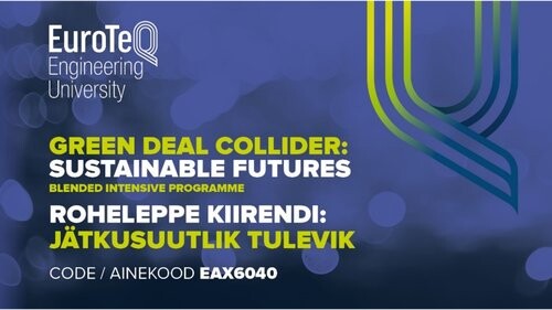 Mieszany program intensywny – BIP (Blended Intensive Programme)