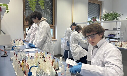 Warsztaty Chemiczne na Wydziale Chemii