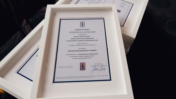 Certyfikat Doskonałości Kształcenia PKA