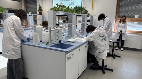 II etap 72. Olimpiady Chemicznej