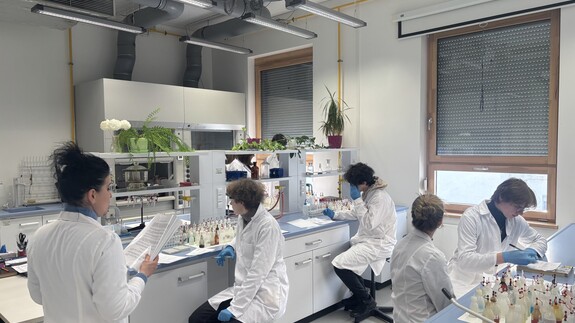 Warsztaty Chemiczne na Wydziale Chemii