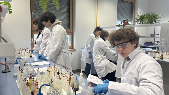 Warsztaty Chemiczne na Wydziale Chemii