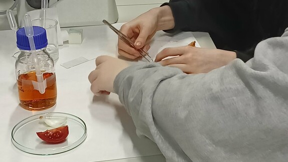 Warsztaty naukowe uczni&oacute;w X Liceum