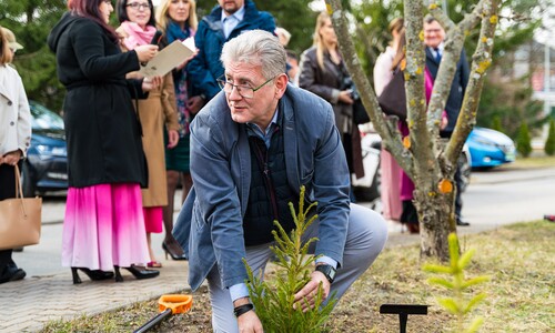 W Alei Mocy przy Domu Pomocy Społecznej przy ulicy świerkowej 9 w Białymstoku został posadzony Świerk Wydziału Chemii Uniwersytetu w Białymstoku.
