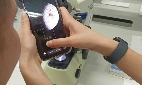 Warsztaty naukowe uczni&oacute;w X Liceum