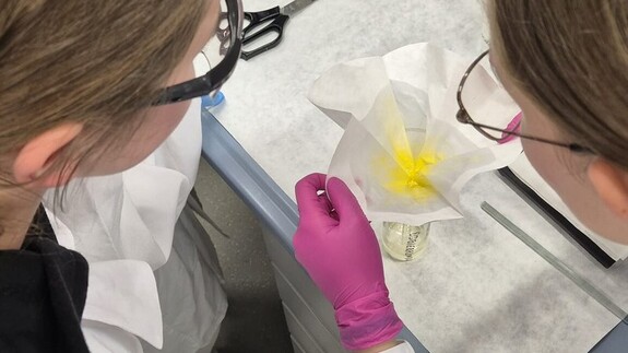 Warsztaty chemiczne dla uczniów Niepublicznej Szkoły Podstawowej w Załukach